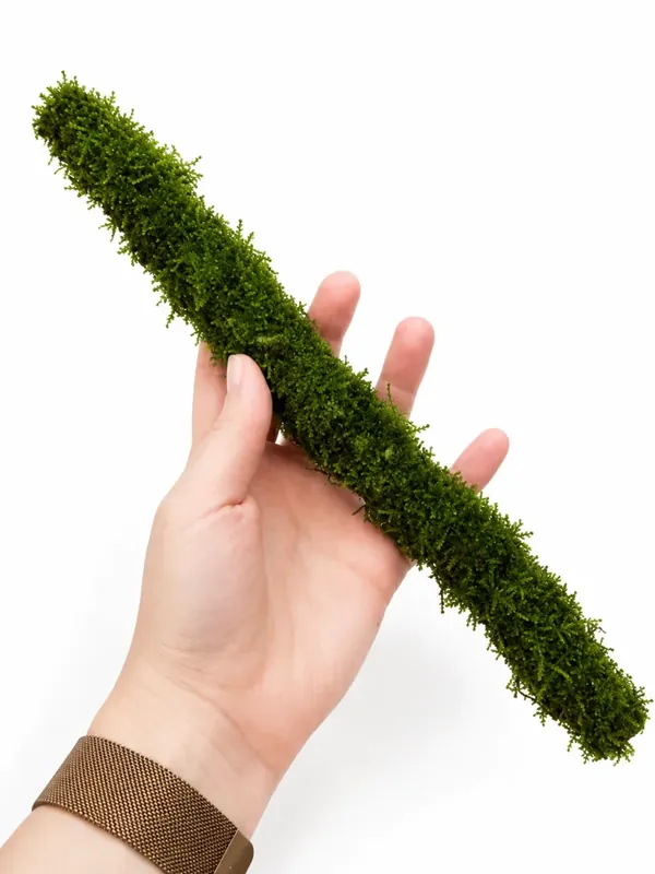 Bamboostick med Javamossa XL 30 cm | Handla säkert