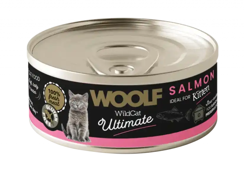 Bra pris - Salmon Paté Våtfoder för Kattunge – 12 x 85 g