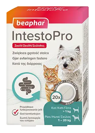 Skynda dig - Intestopro Tabletter Hund/katt