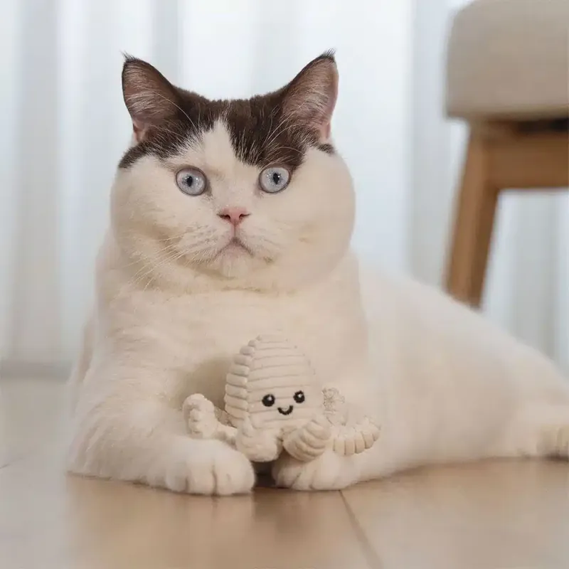 Efterfrågad | Beeztees Eco Cat Nome Bläckfisk