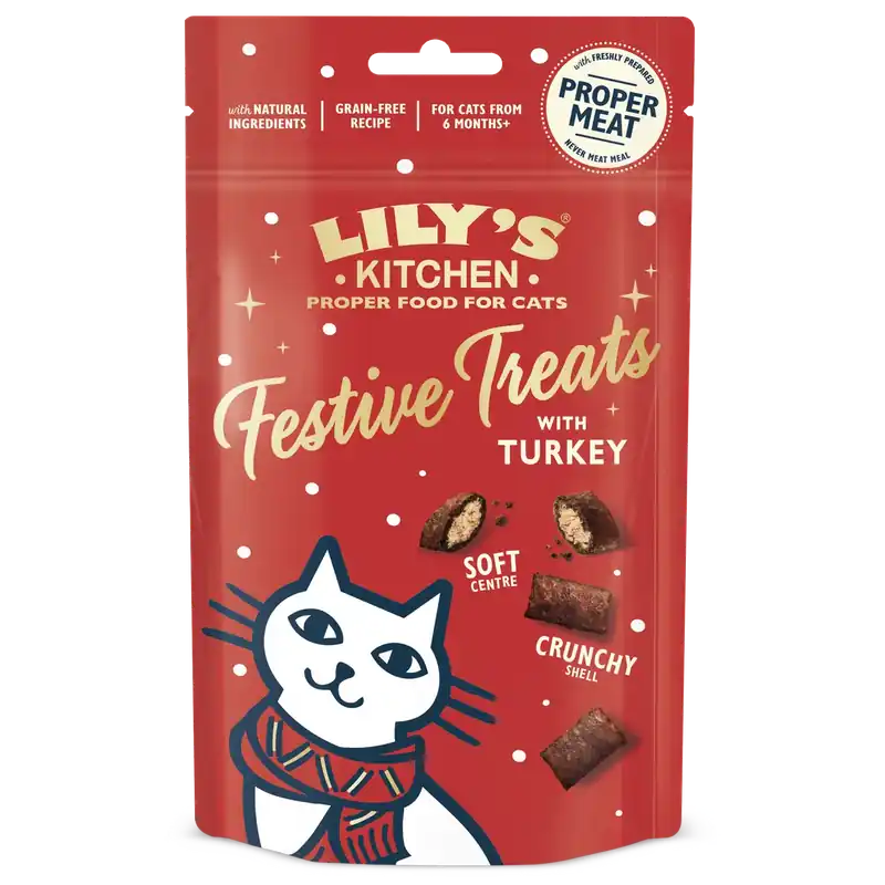 Köp nu | Julgodis till Katt – 60g