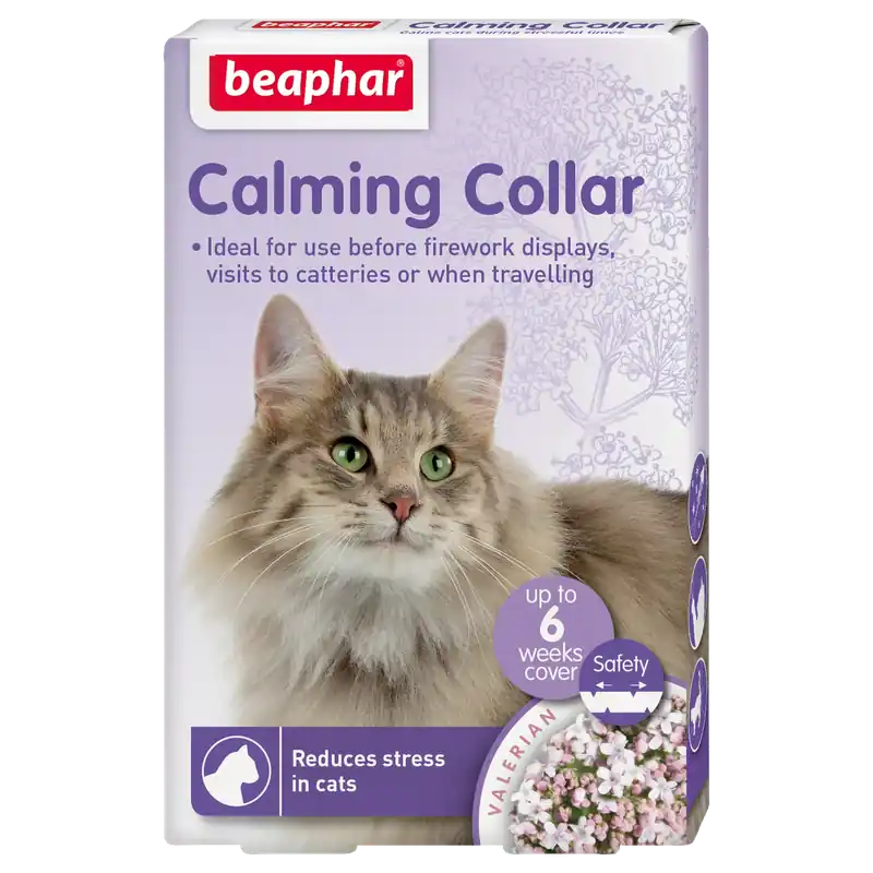 Calming Hundhalsband Katt | Bästsäljare
