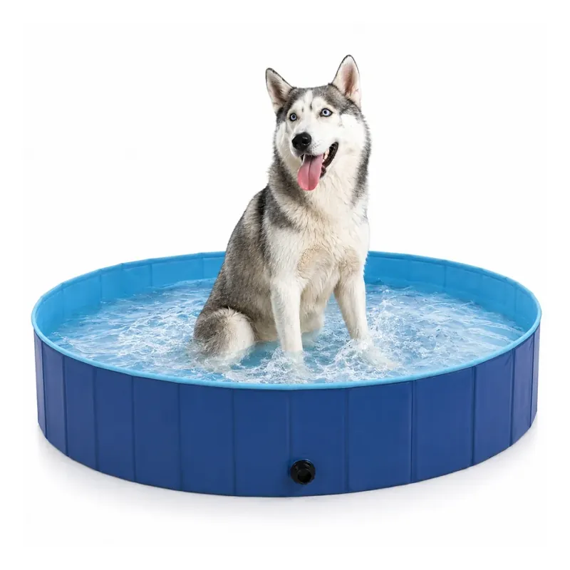 DoggyDip Hundpool | Populärt just nu