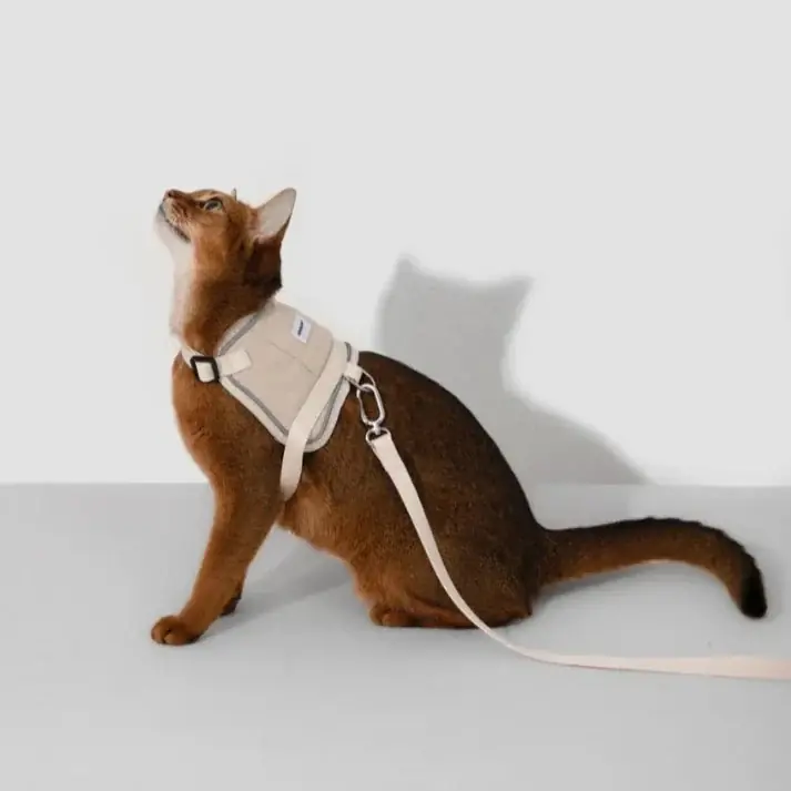 HiDream Vest Series Kattsele - Kampanj