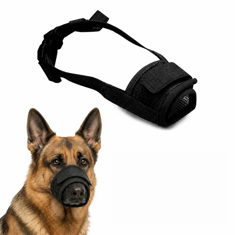Beställ idag - Canimora Munkorg till Hund