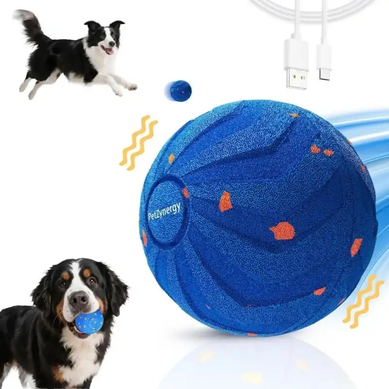 PetZynergy Aktivitetsboll Hund | Prissänkt