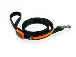 B-Green & B-Seen Leash - Precis inkommet