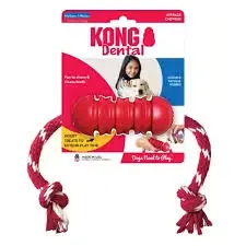 Nyhet hos oss | Kong Dental