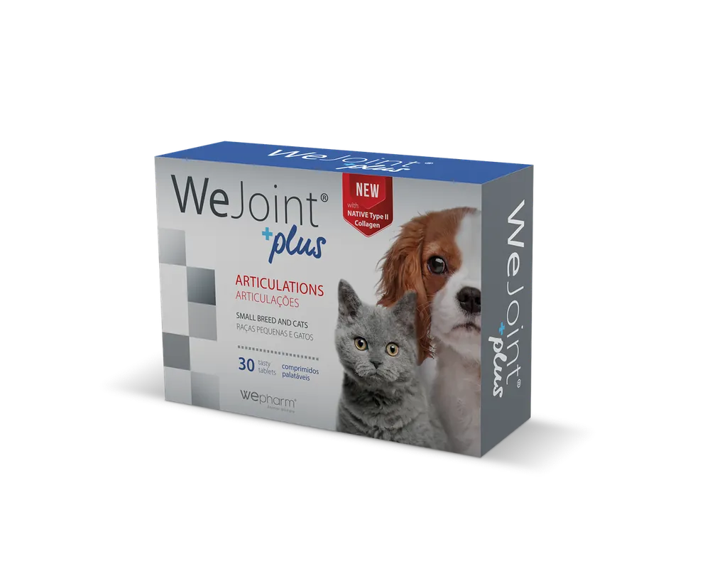 Expressfrakt | WeJoint Plus Ledtillskott - Small Breed/Cat