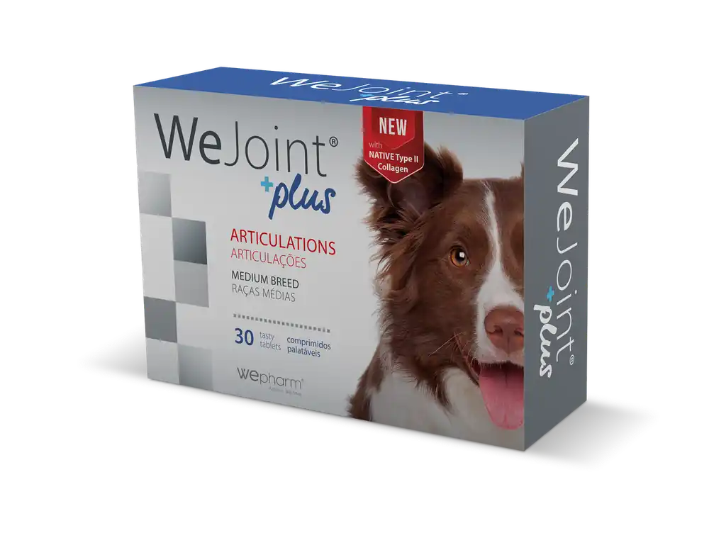 WeJoint Plus Ledtillskott - Medium Breed | Fabrikspris