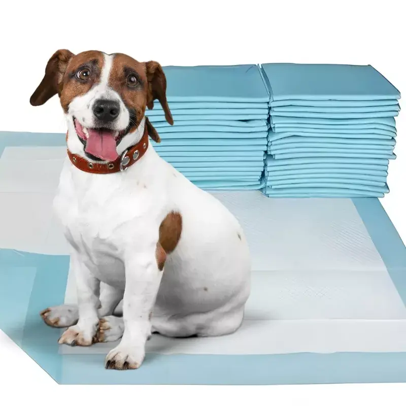 Fynd | 50st Superabsorberande Hundmattor