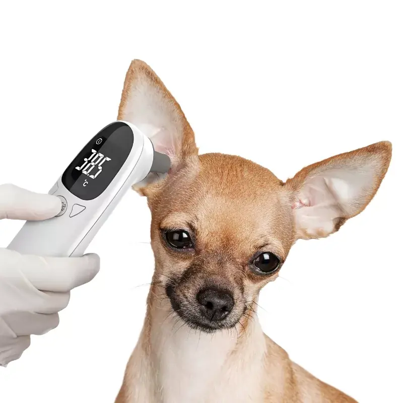 Digital örontermometer för hund | Rabatter