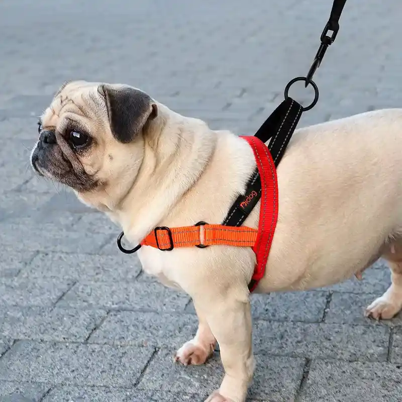 Endast denna vecka | Anti-drag Reflekterande Hundsele