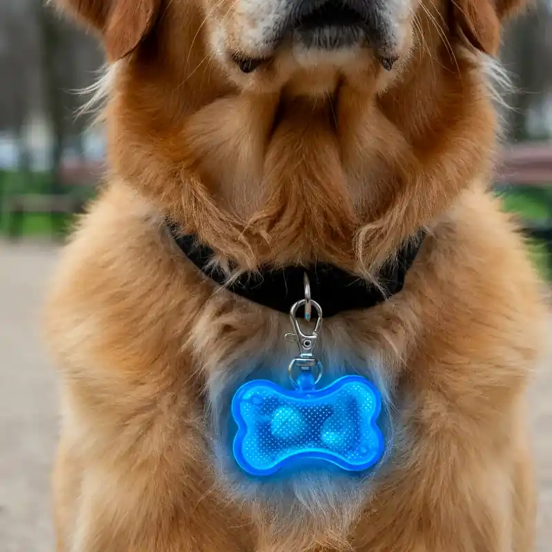 Fyndpris - LED Hundhalsband Benberlock