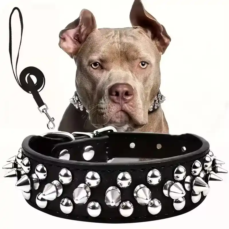 Handla nu - Spikhalsband och Koppelset för Hund