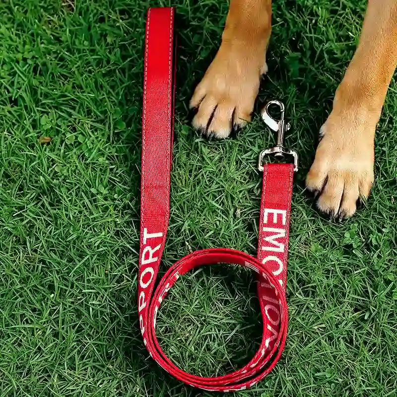 Rött Nylon Koppel För Hund | Premium