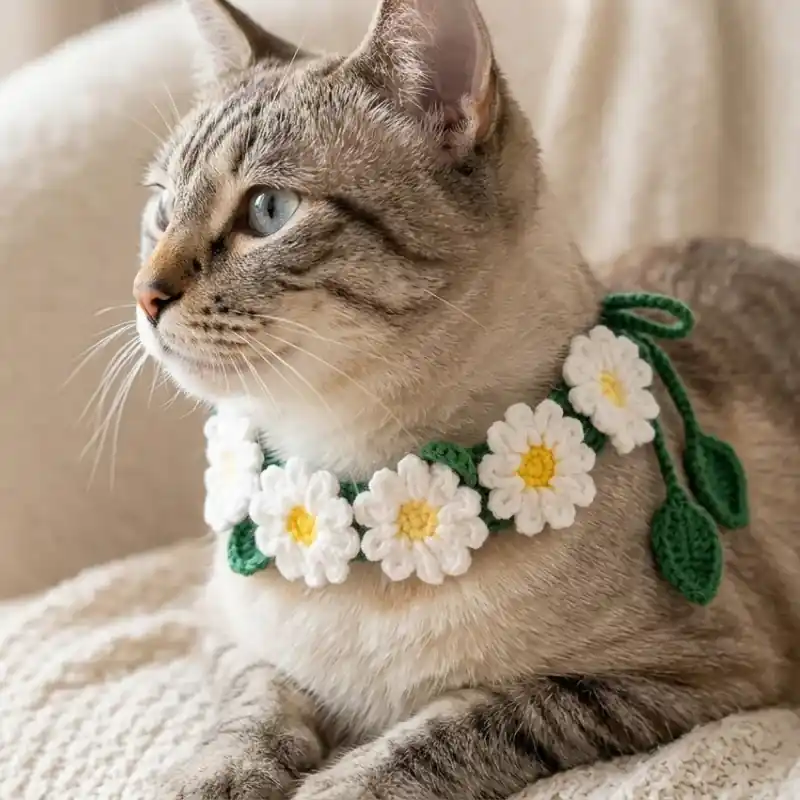 Sött stickat blomhalsband för katt | Premium