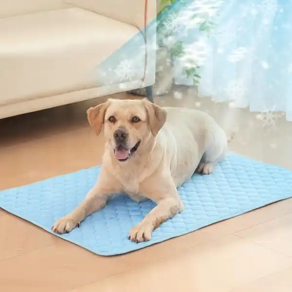 Hund Sommar Kylmatta Andningsbar Pad - Nytt i sortimentet