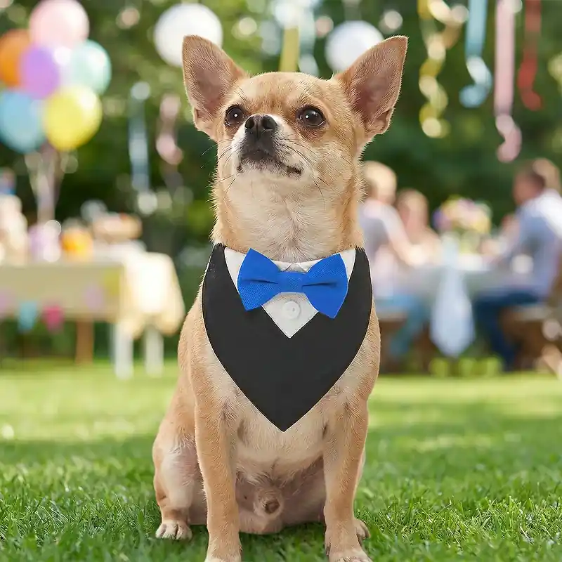 Justerbart Tuxedo Fluga Hundhalsband - Slutrea
