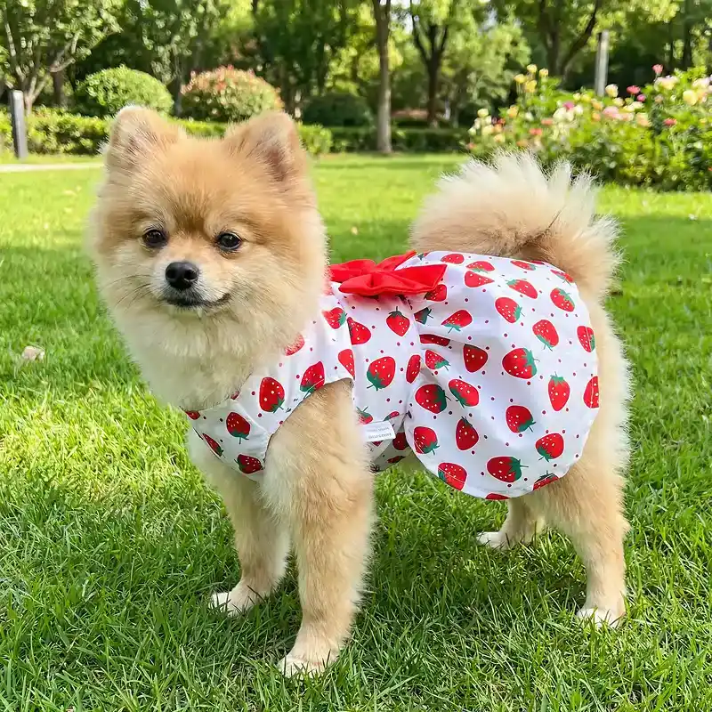 Nytt i sortimentet | Hundklänning Princess med Rosett