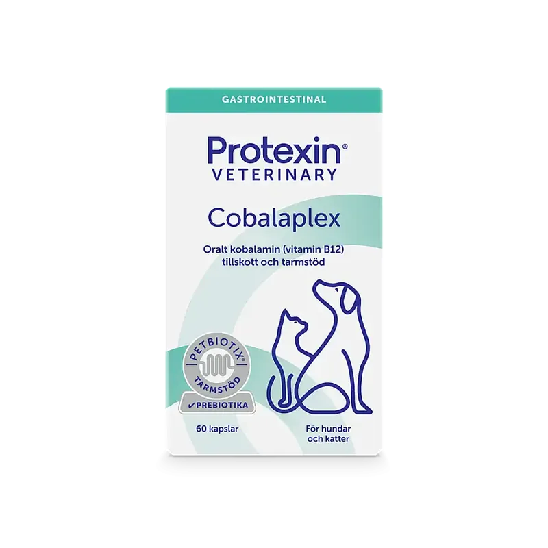 Vitamintillskott Protexin Cobalaplex 60 st - Nyhet hos oss
