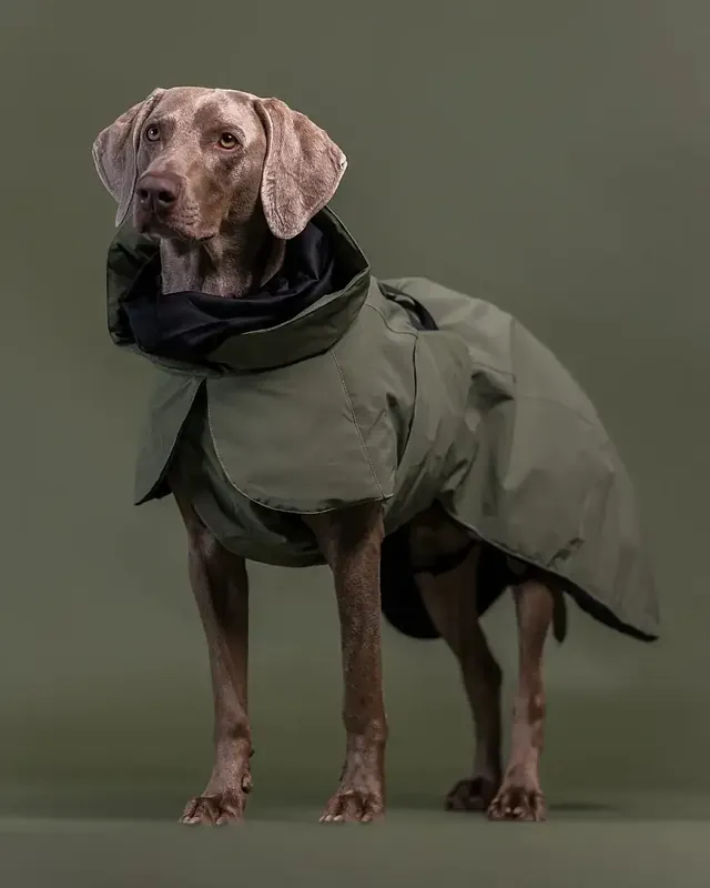 Visibility Winter Jacket Vinterjacka Grön-109478 - Snabb frakt