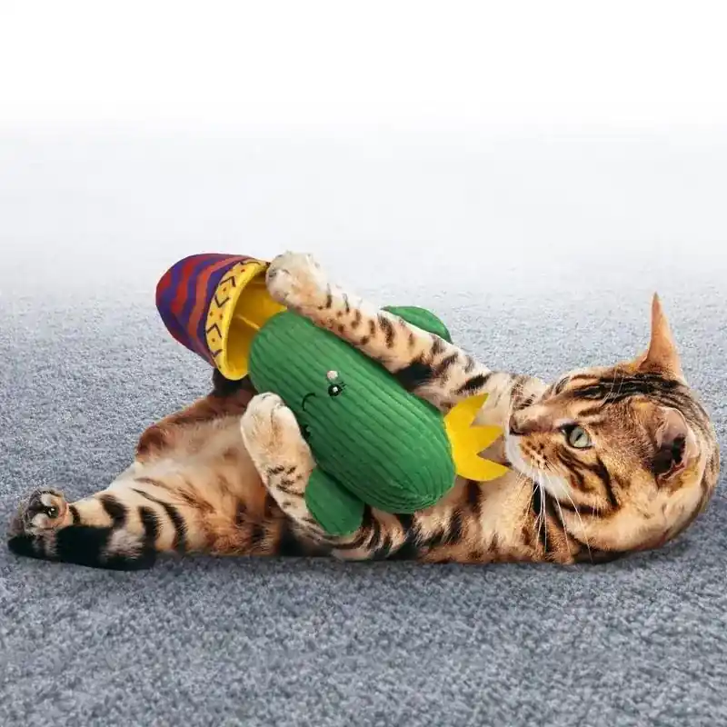Efterfrågad - Kong Cat Wrangler Cactus