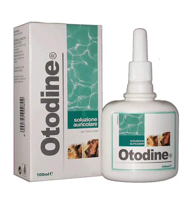 Enkel retur - ICF Otodine 100ml