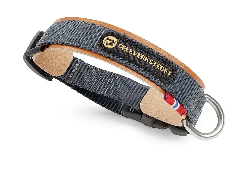 Secure Hundhalsband-C109730 - Efterfrågad