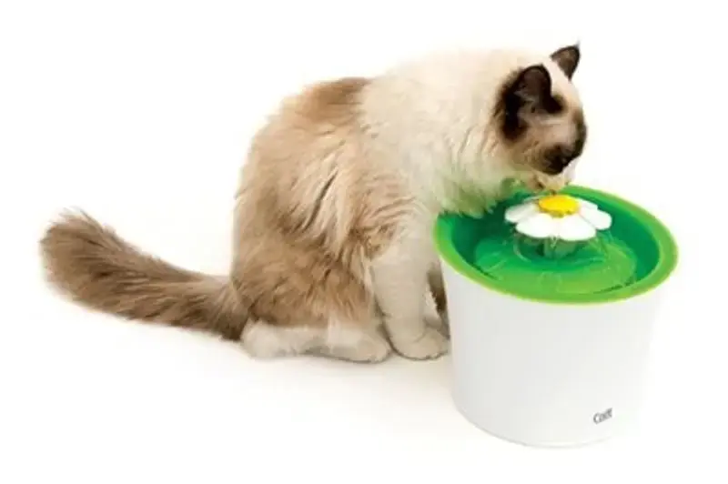Köp online - CatIt vattenfontän Flower 3 lit