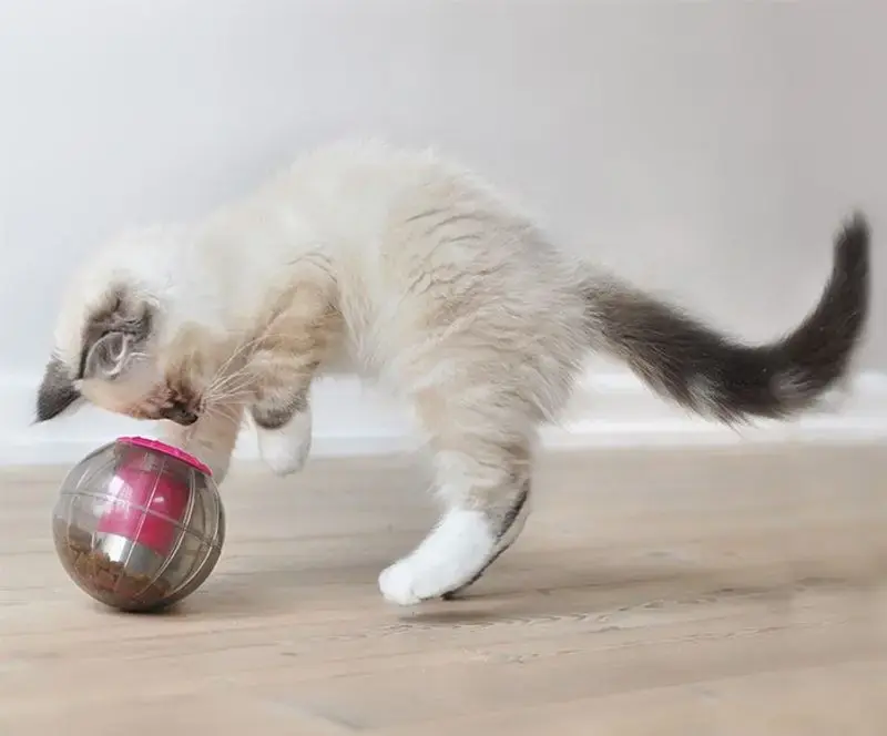 Catmosphere treatdispenser Rosa - Spara mer