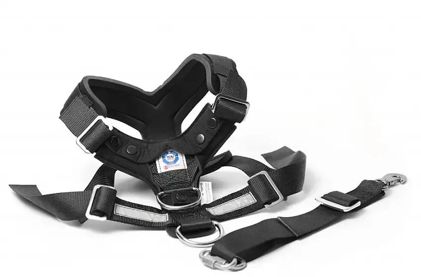 Deal - MIMSafe Bilsele XL