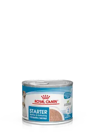 RC Starter Mousse 195g | Erbjudandet går snart ut