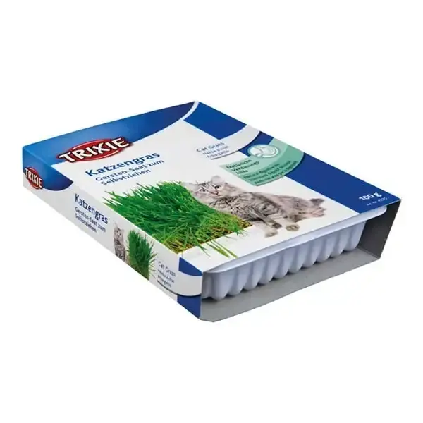 Kattgräs med odlingslåda, 100g | Väl omtyckt
