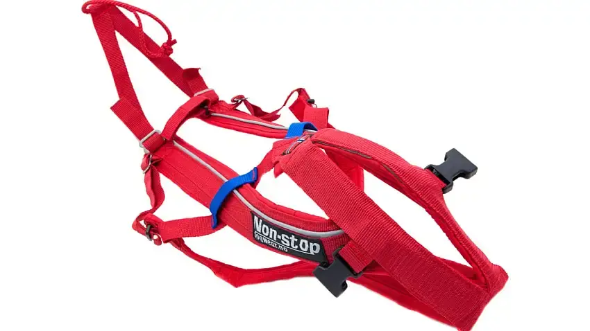 Erbjudande - Non-Stop Combined Harness