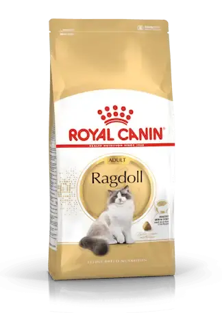 RC FBN Ragdoll 2kg - Spara mer