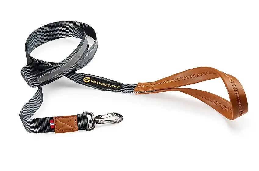 Hundkoppel Link-C109736 - Kanonpris