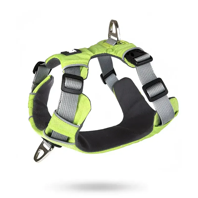 Safe-Walk Pro™ – Ljusgrön Hundsele - Beställ nu