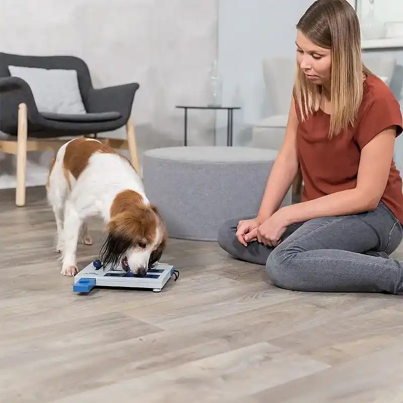 Trixie Mini Mover Aktiveringsleksak - Efterfrågad