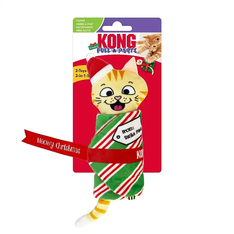 Rekommenderas | Kong Holiday Pull-a-partz Present