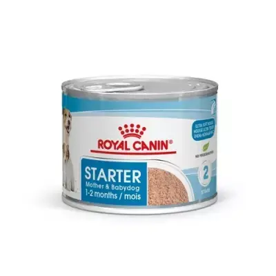 RC Starter Mousse 195g Wet - Lågt pris