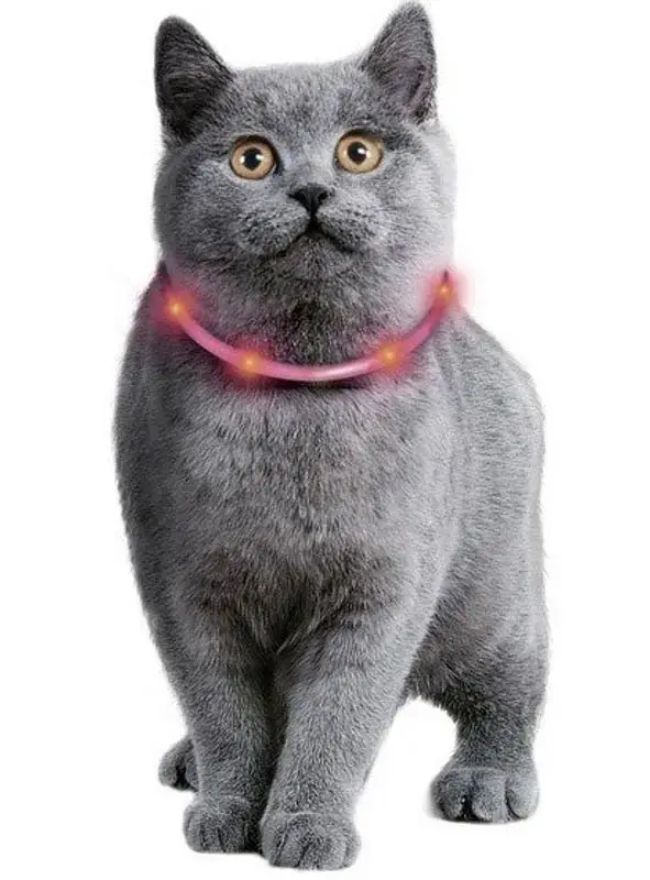 Precis lanserat - Katthalsband Visio light