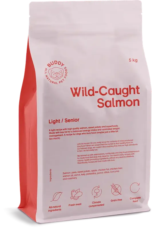 Buddy Wild-Caught Salmon 5 kg | Populär