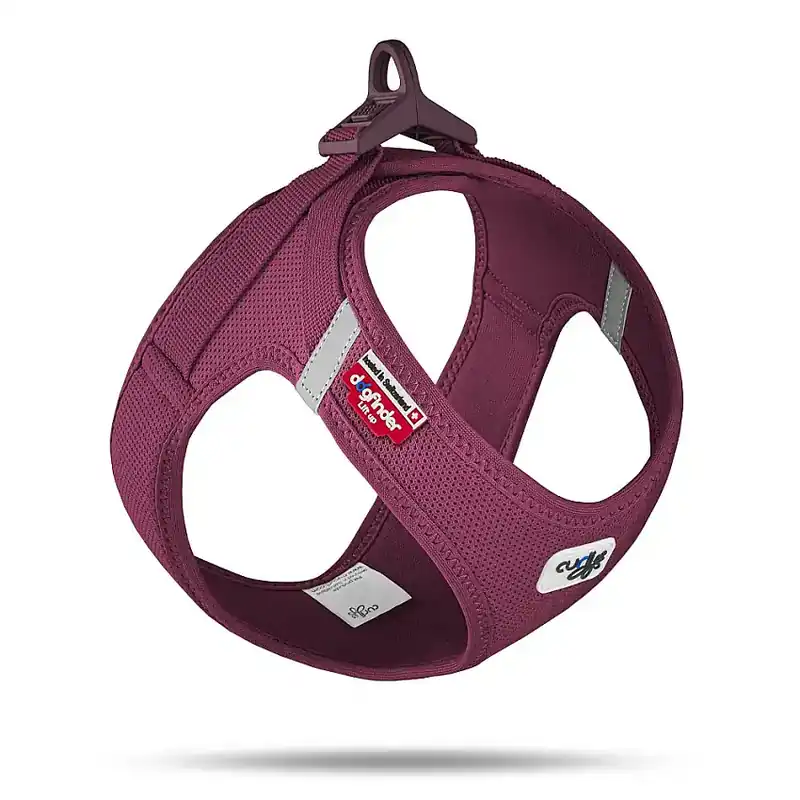 Snabb frakt - Curli Vest Sele Clasp Air-Mesh Ruby