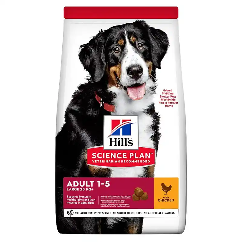 Bästsäljare - Adult Large Breed Chicken Torrfoder för hund-CS004591