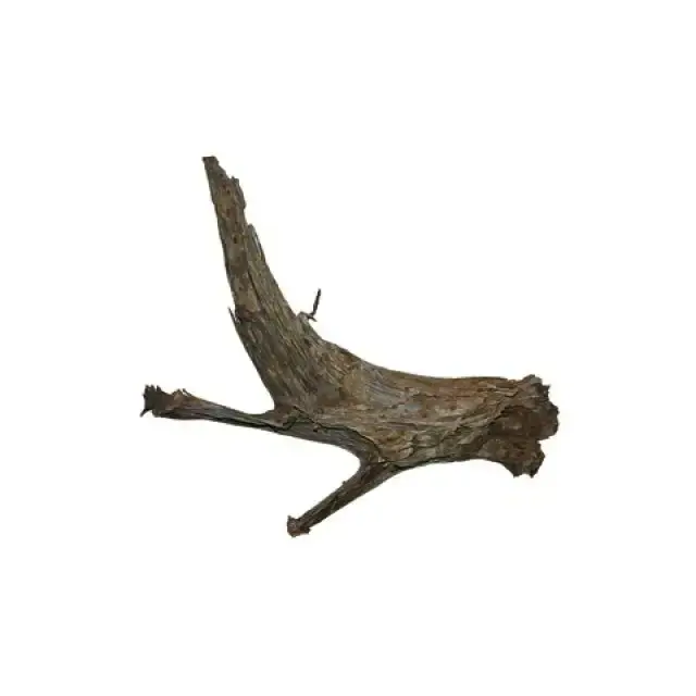 Handla online | Mangroverot – Medium/Large – 30-40 cm