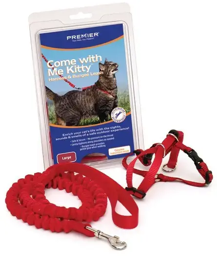 Come with me Kitty kattsele svart – Small | Kampanj