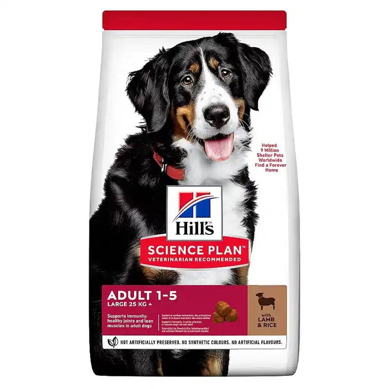 Adult Large Breed Lamb & Rice Hundfoder-CS004592 - Dagens deal