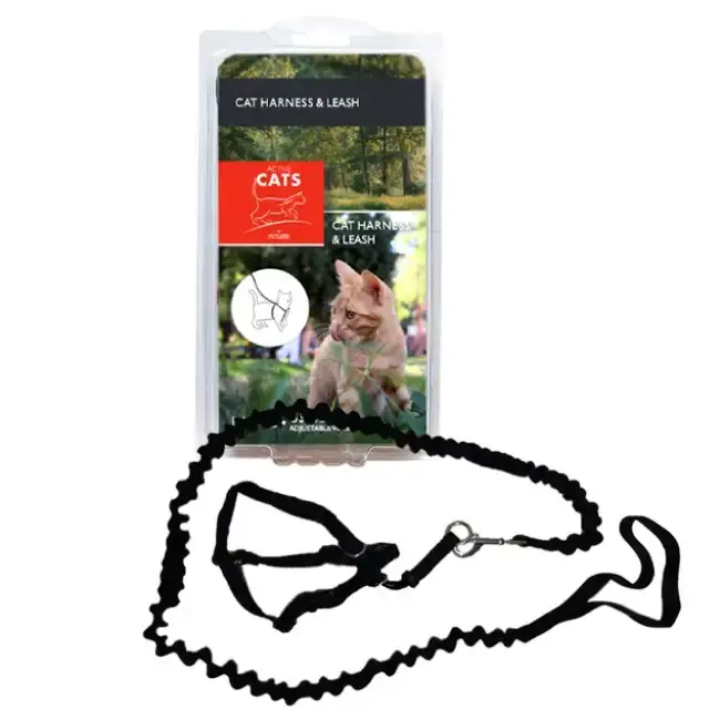 Active Cats Kattsele & elastiskt koppel | Expressleverans
