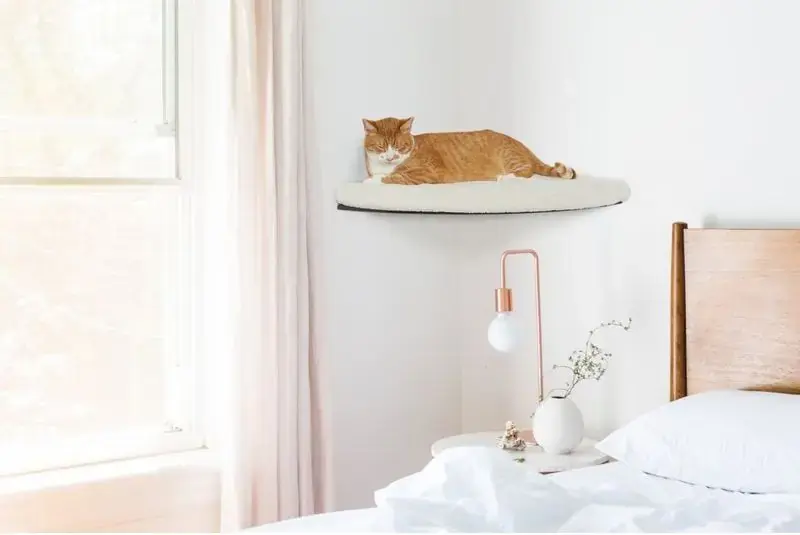 Passa på nu | Cosy and Dozy katthylla CHILL Corner Maple